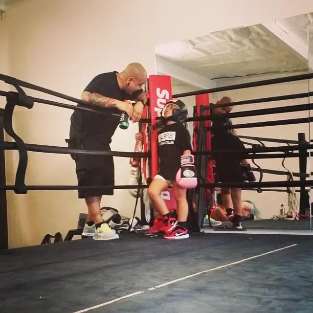 Superb Boxing Picture 2