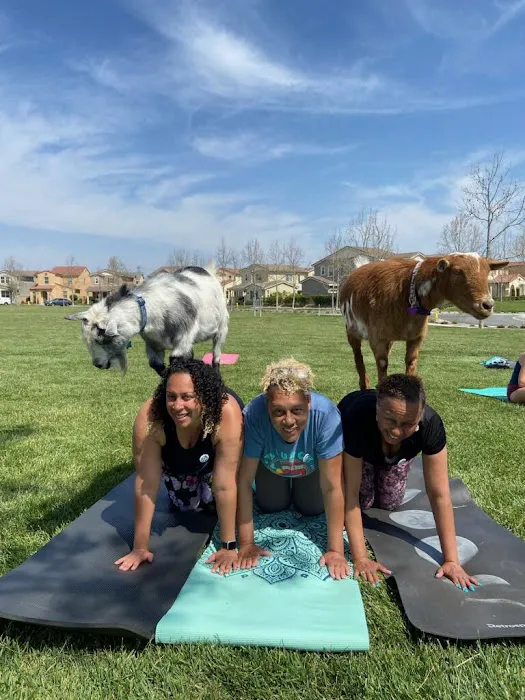 YogaSix New Haven Picture 6