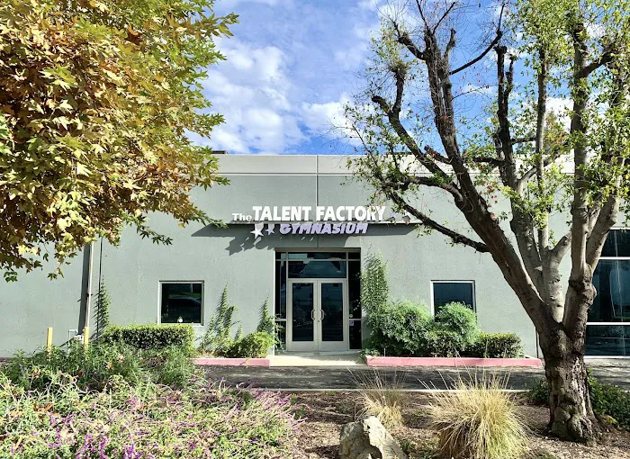 Talent Factory Picture 10