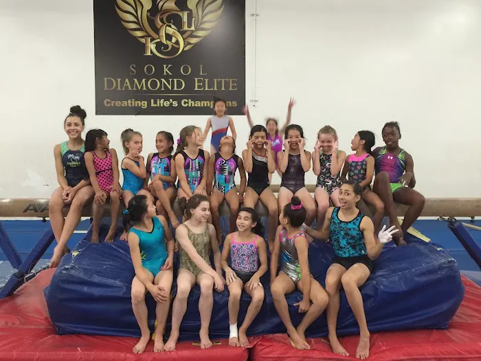 Sokol Elite Gymnastics Picture 9