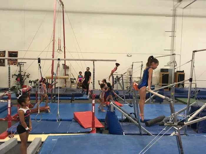 Sokol Elite Gymnastics Picture 10