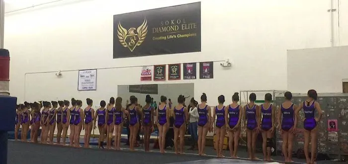 Sokol Elite Gymnastics Picture 7
