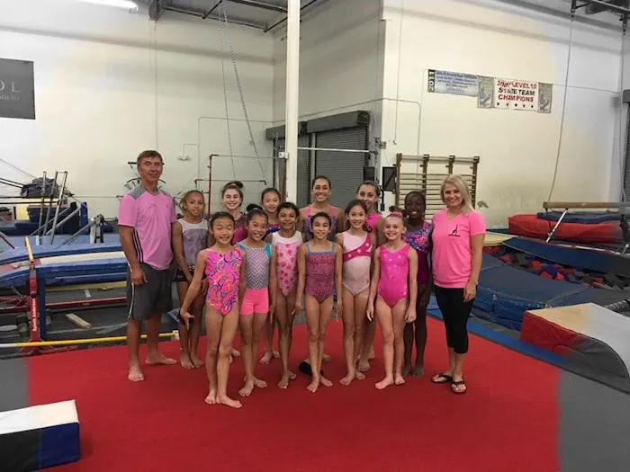 Sokol Elite Gymnastics Picture 3