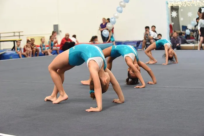 Sokol Elite Gymnastics Picture 2