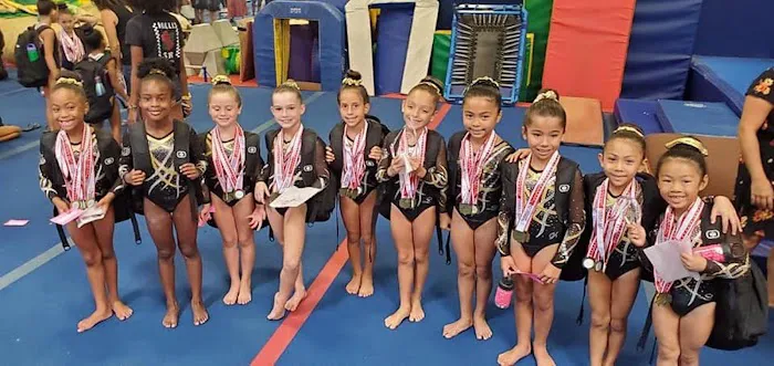 Sokol Elite Gymnastics Picture 1