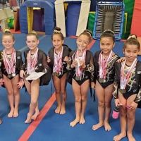 Sokol Elite Gymnastics ico