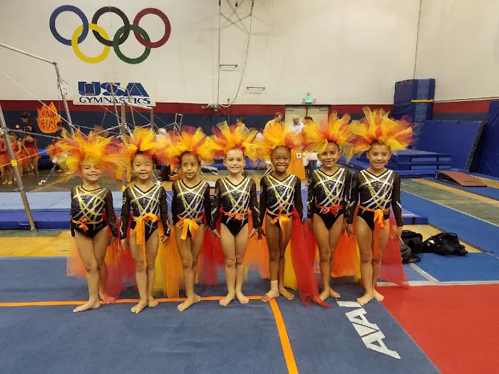 Sokol Elite Gymnastics Picture 5