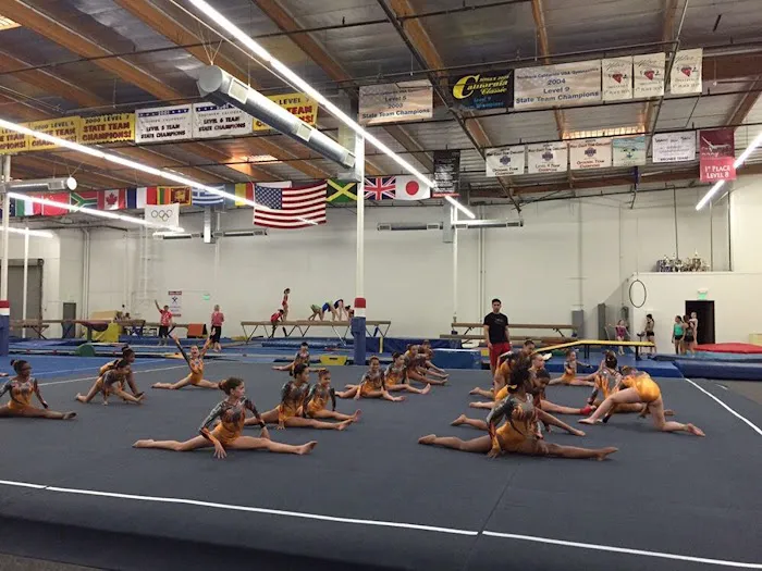 Sokol Elite Gymnastics Picture 4