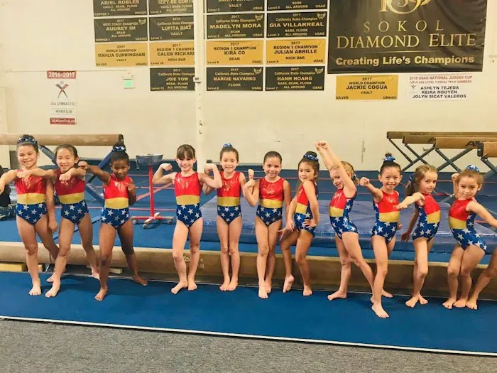 Sokol Elite Gymnastics Picture 8
