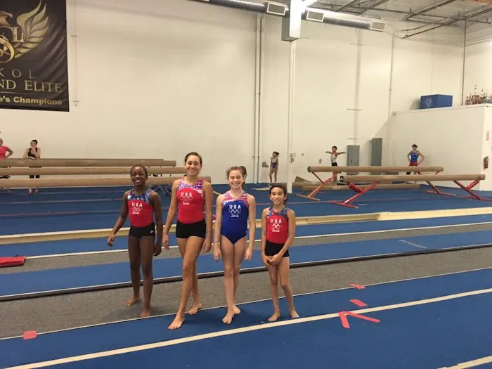 Sokol Elite Gymnastics Picture 6