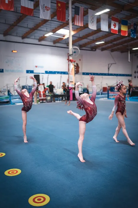 Winner's Academy of Gymnastics Picture 6