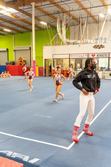 Winner's Academy of Gymnastics Picture 4