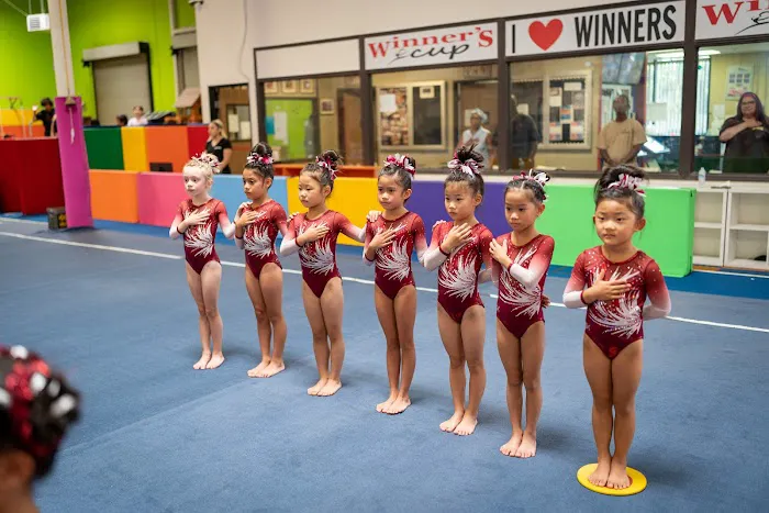 Winner's Academy of Gymnastics Picture 5