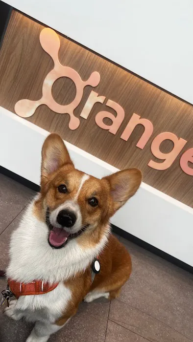 Orangetheory Fitness Picture 5