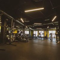 Conquer All Things ico