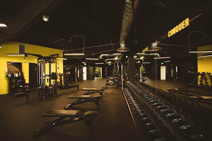 Conquer All Things Picture 3