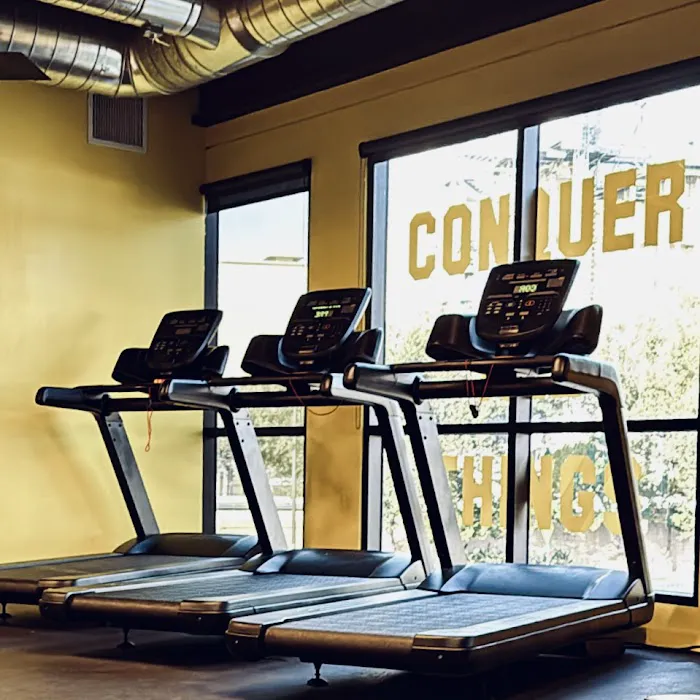 Conquer All Things Picture 7