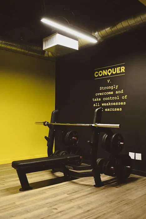 Conquer All Things Picture 4