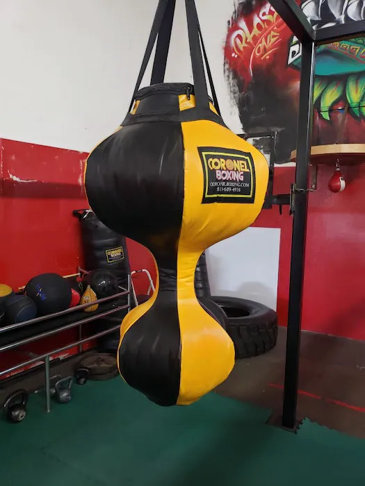 Coronel Boxing Picture 7