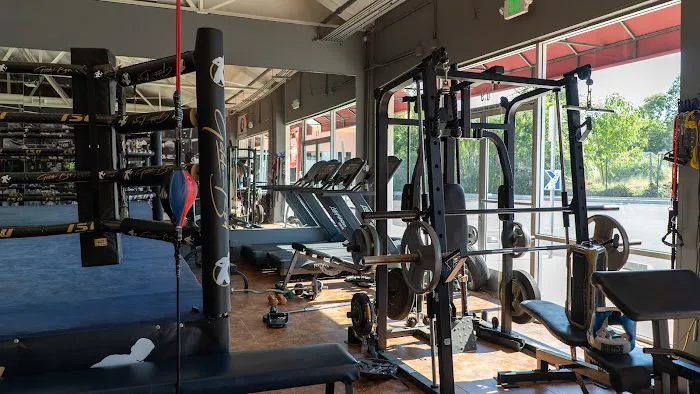 International Sports Union Picture 3