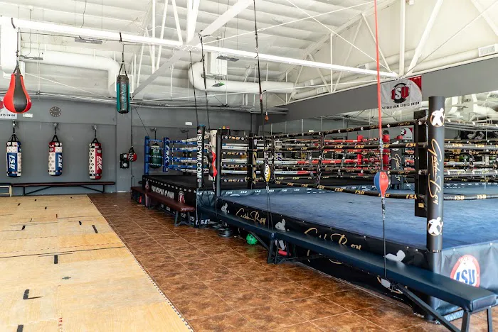 International Sports Union Picture 8