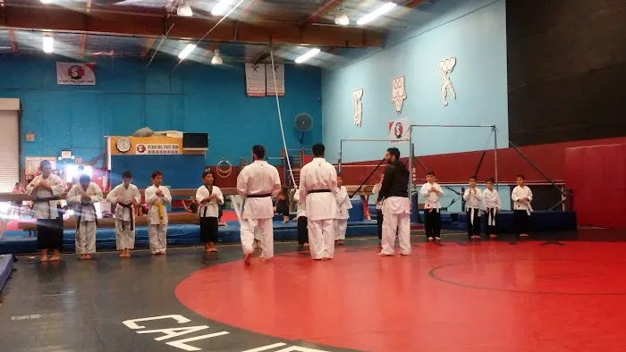 International Sports Union Picture 5