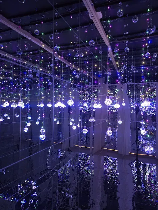 Aleva Studios Picture 10