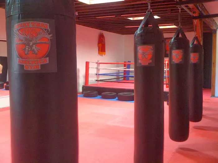 ACE Muay Thai America Gym Picture 8