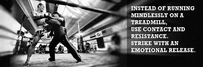 ACE Muay Thai America Gym Picture 10