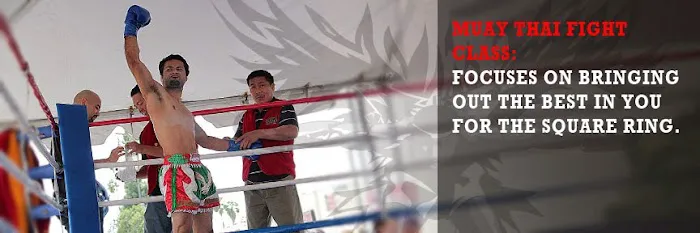 ACE Muay Thai America Gym Picture 4