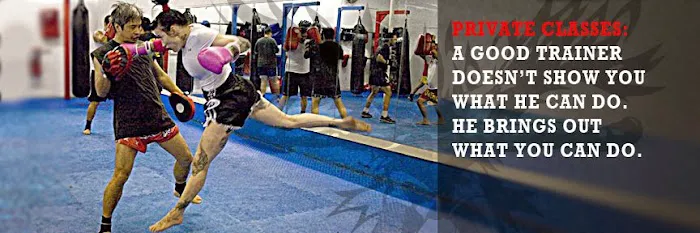 ACE Muay Thai America Gym Picture 3