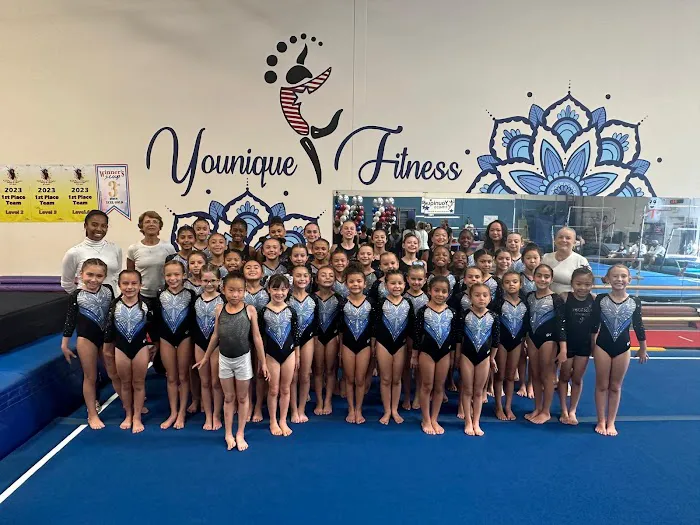 Younique Fitness LLC- (School of Gymnastics, Acrobatics & Family Fitness) Picture 3