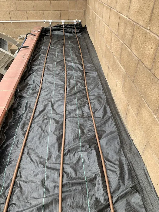 Eastvale Athletics Picture 10