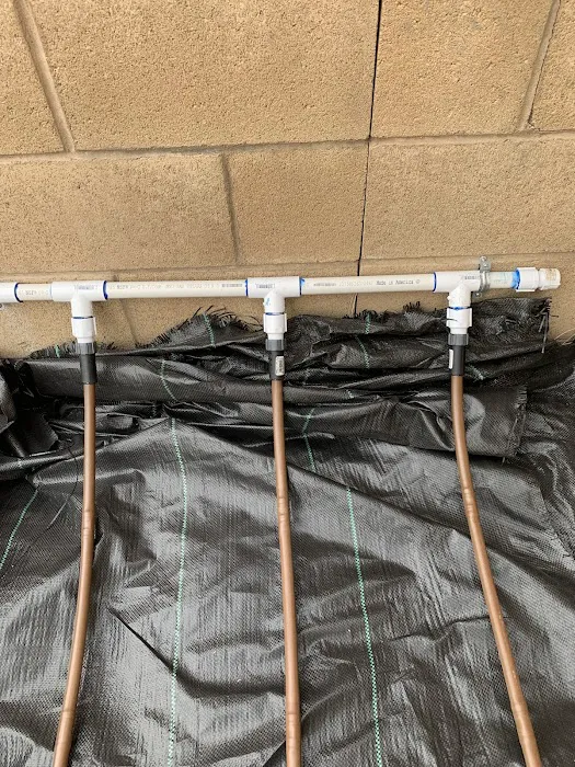 Eastvale Athletics Picture 1