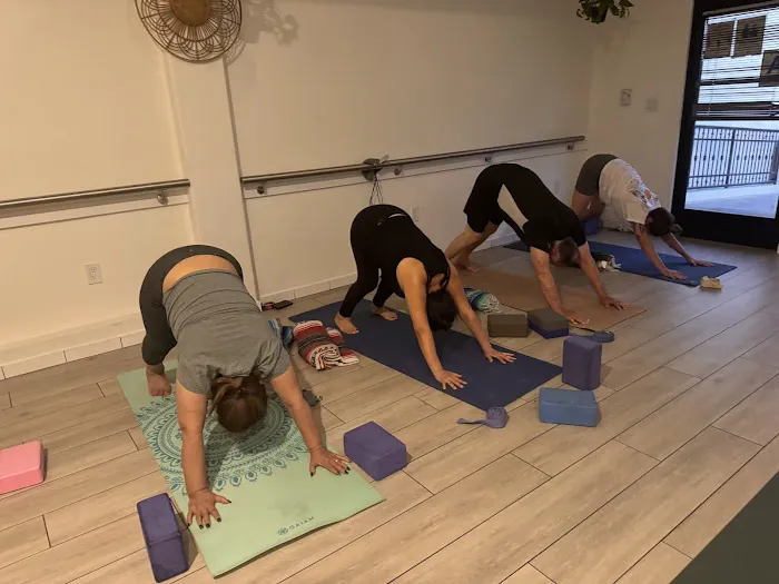 Therabe Yoga Picture 3