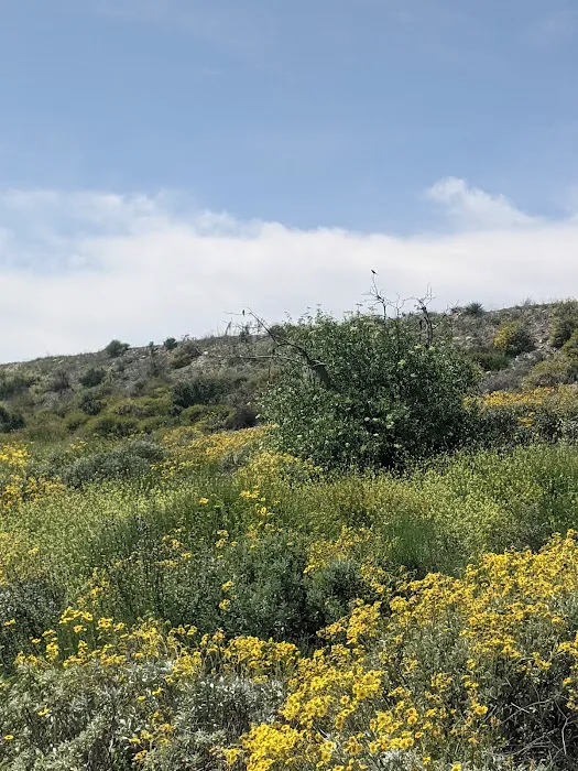 Hansen Dam Exercise Picture 1