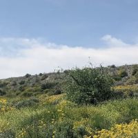 Hansen Dam Exercise ico