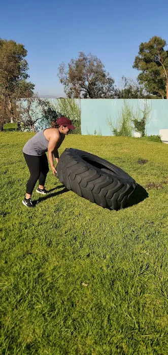 Elite Fitness Club Picture 5