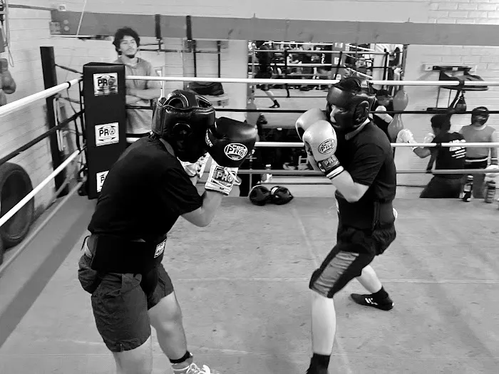 Flash Enterprises Boxing Academy Picture 5