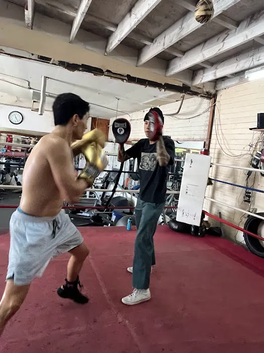 Flash Enterprises Boxing Academy Picture 10