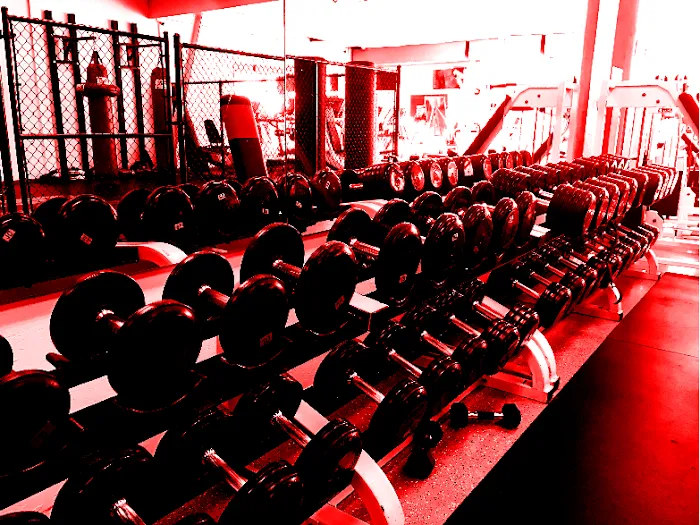 Mendy's Gym - Gym, Personal training, Nutrition Picture 2