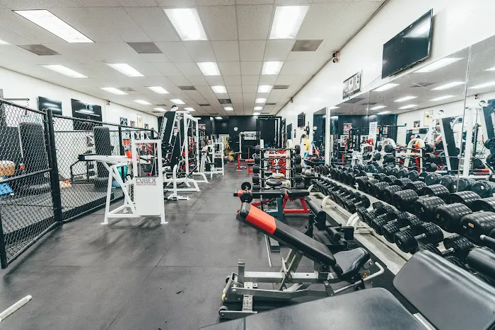 Mendy's Gym - Gym, Personal training, Nutrition Picture 10