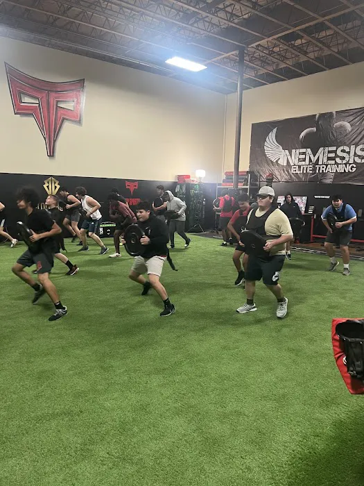 PTP SPORTS Picture 10