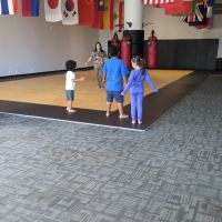 Tiger 9 Training ico