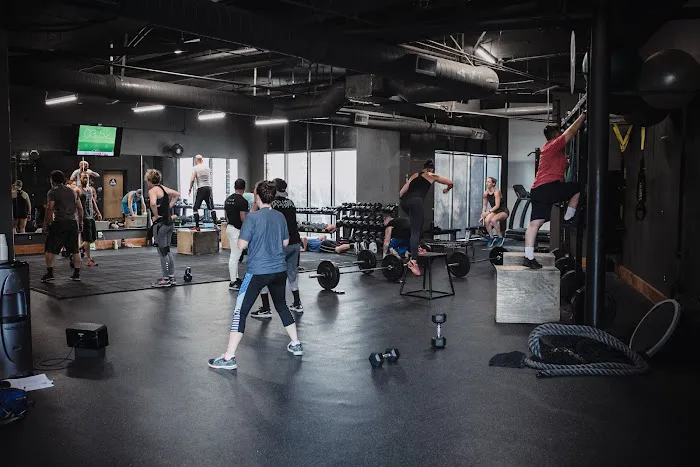 GoTribe Fitness Picture 2