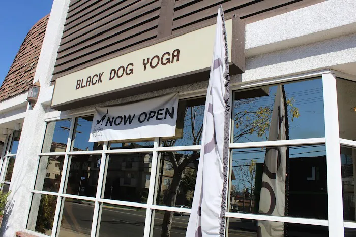 Black Dog Yoga Picture 1