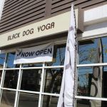 Black Dog Yoga