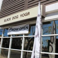 Black Dog Yoga ico