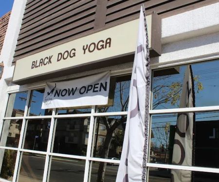 Black Dog Yoga