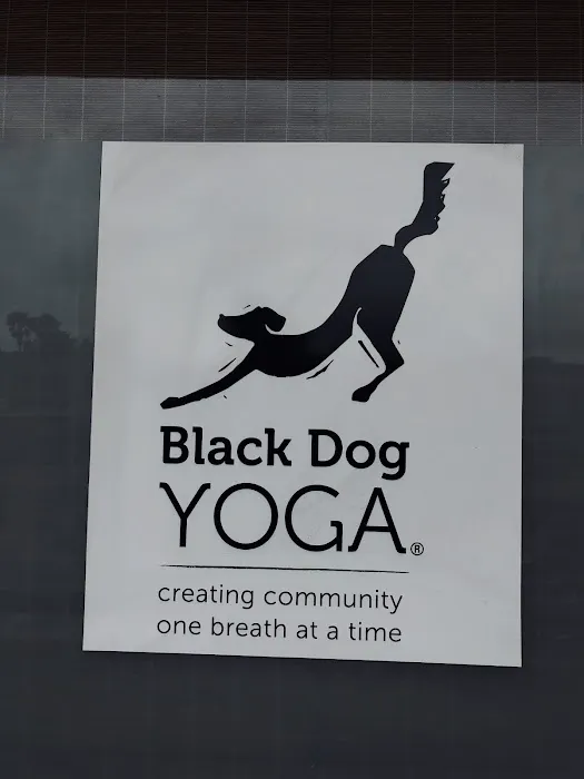Black Dog Yoga Picture 2